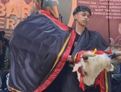 Bantengan: Kesenian Tradisional yang Digandrungi Generasi Z, Apa Istimewanya?